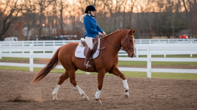 tradewinds park and stables